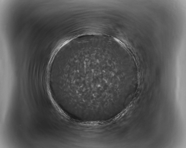 X0000087610049200704271348