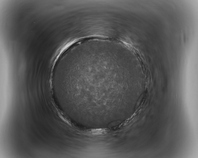 X0000087610050200704271348
