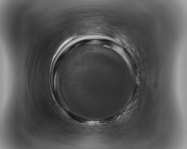 X0000087610052200704271348