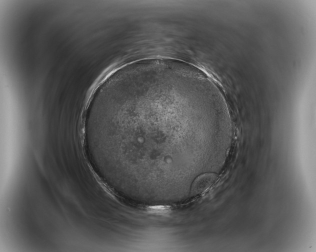 X0000087610053200704271348