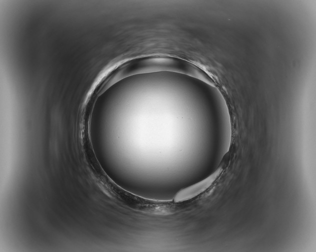 X0000087610056200704271348