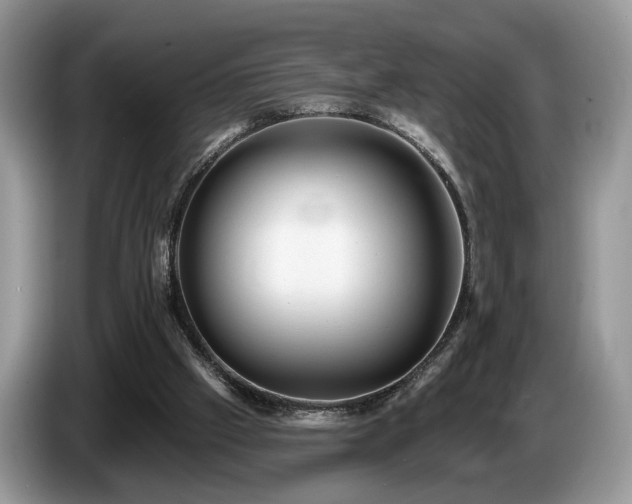 X0000087610057200704271348