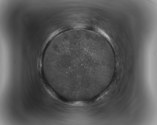 X0000087610059200704271348