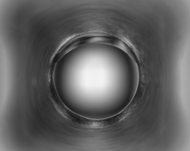 X0000087610060200704271348