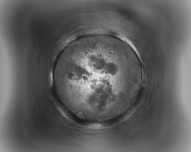 X0000087610061200704271348