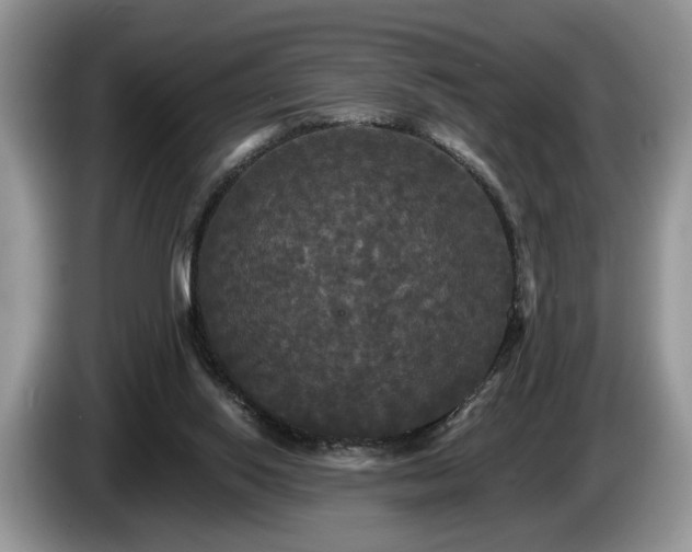 X0000087610062200704271348