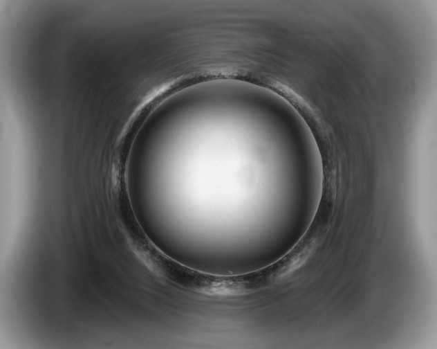 X0000087610064200704271348