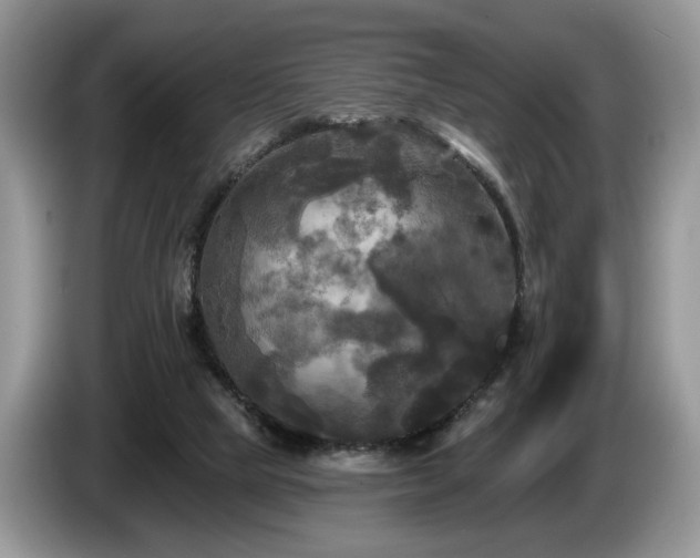 X0000087610065200704271348