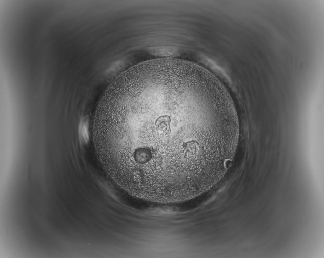 X0000087610069200704271348