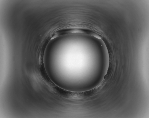 X0000087610074200704271348