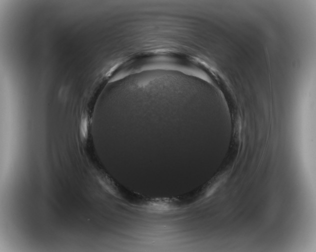 X0000087610076200704271348
