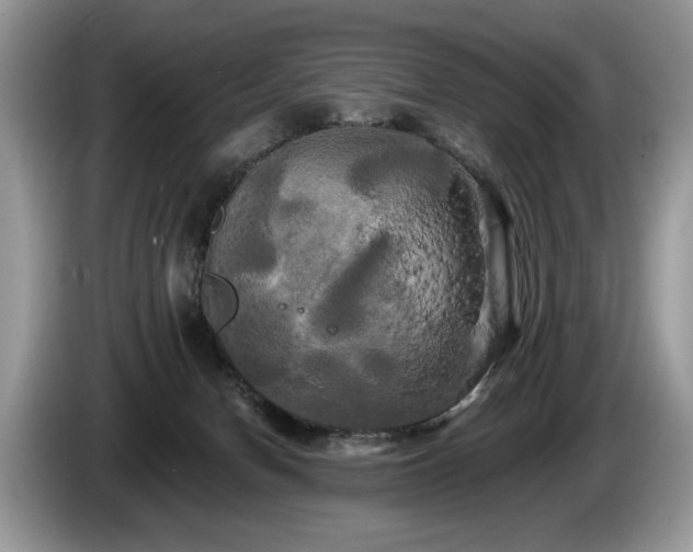 X0000087610078200704271348