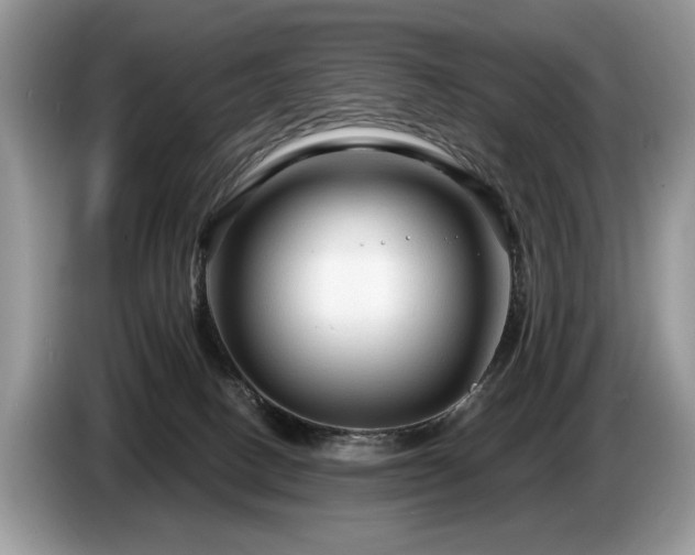 X0000087610082200704271348