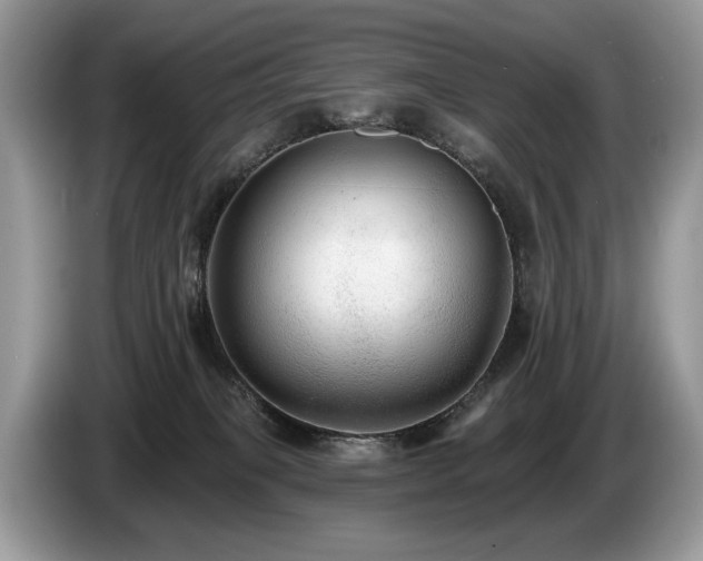 X0000087610085200704271348
