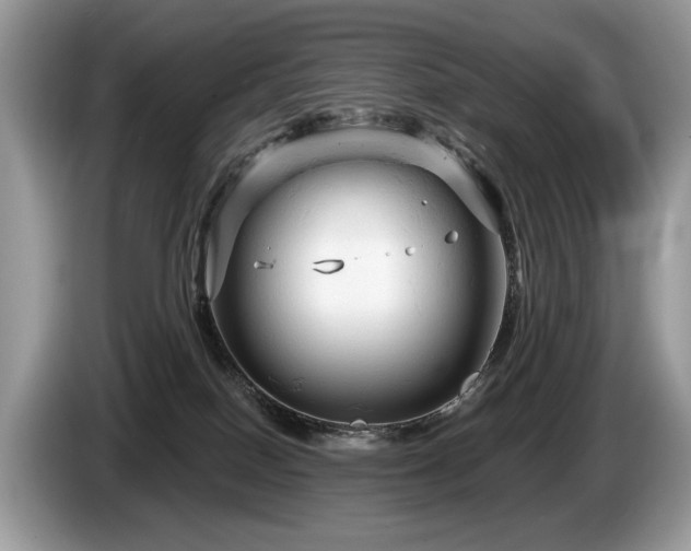 X0000087610086200704271348