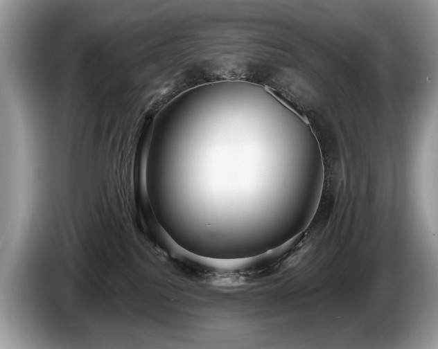 X0000087610088200704271348