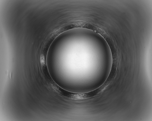 X0000087610089200704271348
