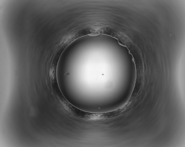 X0000087610090200704271348
