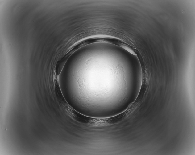 X0000087610093200704271348