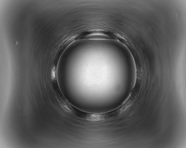 X0000087610095200704271348