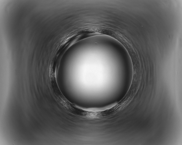 X0000087610096200704271348