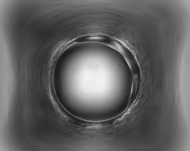 X0000087610097200704271348