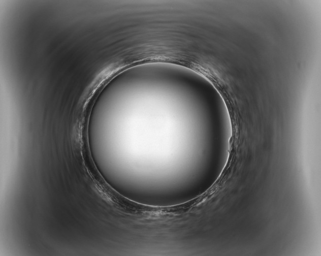 X0000087610098200704271348