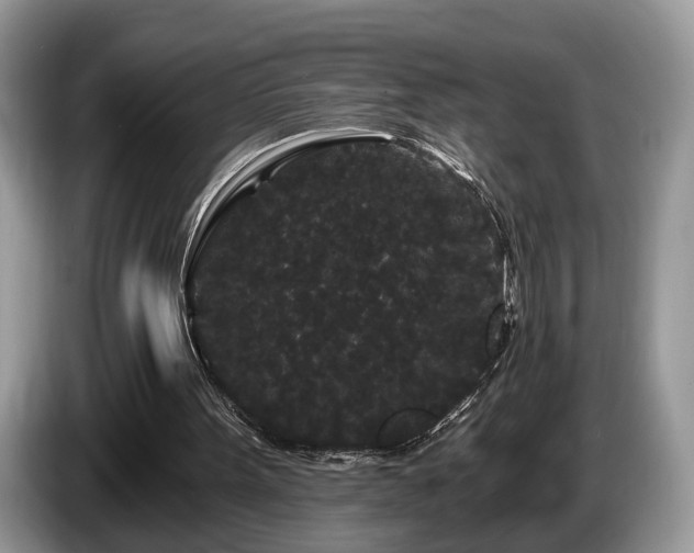 X0000087610099200704271348