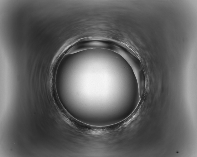 X0000087610101200704271348