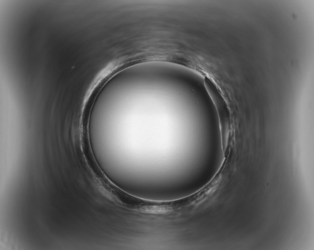 X0000087610102200704271348