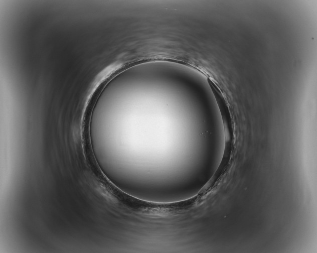 X0000087610104200704271348