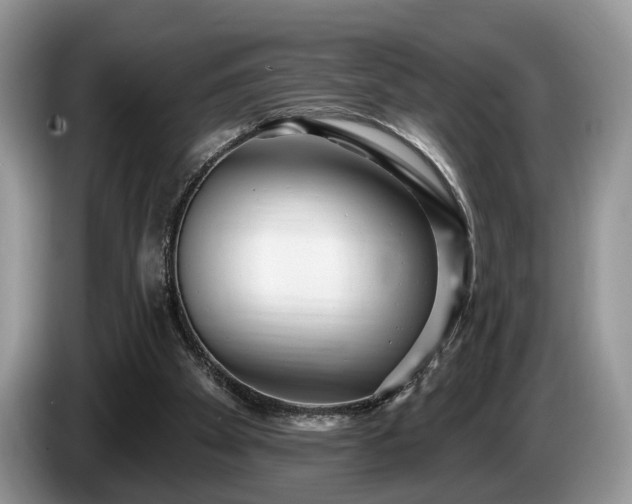 X0000087610105200704271348