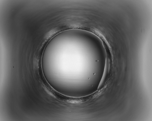 X0000087610106200704271348