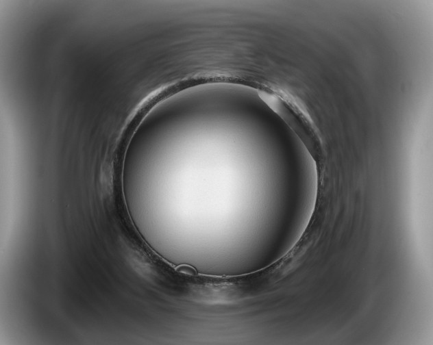 X0000087610108200704271348