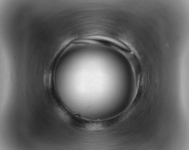 X0000087610110200704271347