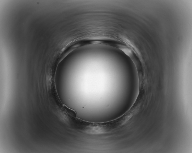 X0000087610113200704271347