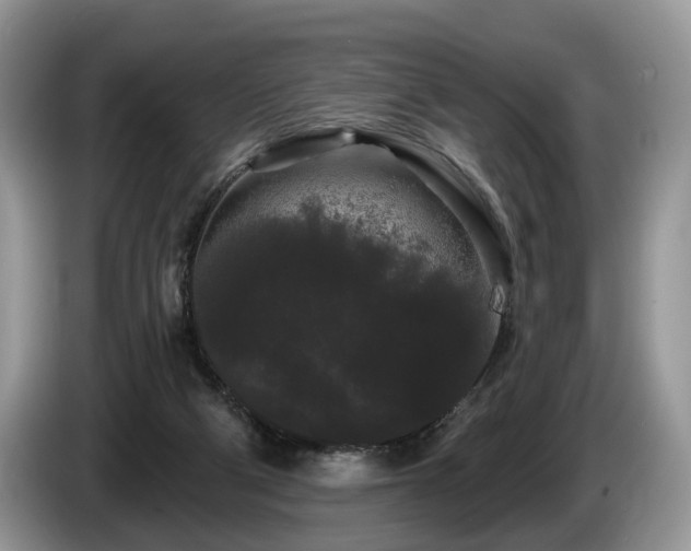 X0000087610114200704271347