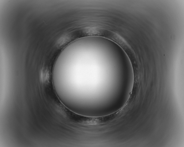 X0000087610124200704271347