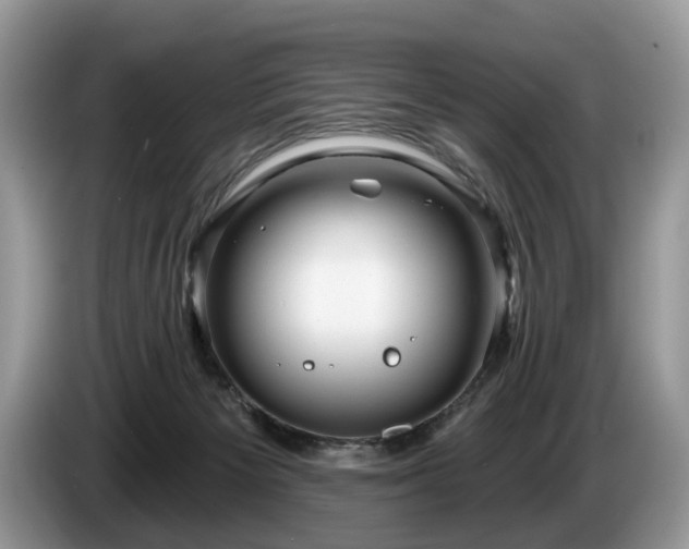 X0000087610125200704271347