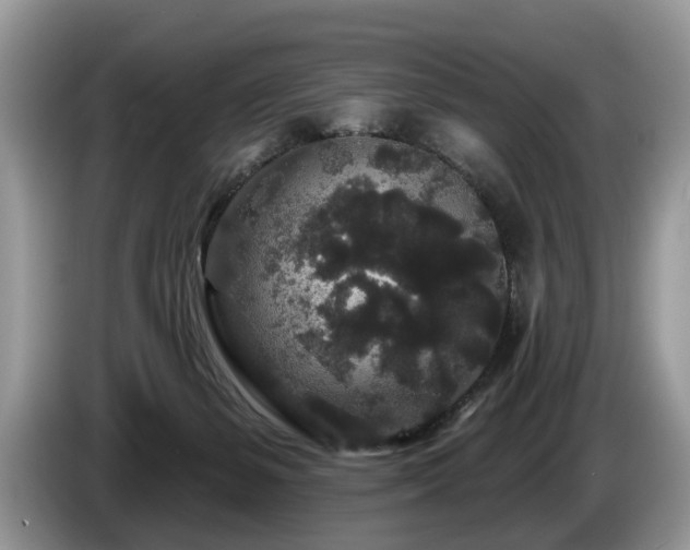 X0000087610127200704271347