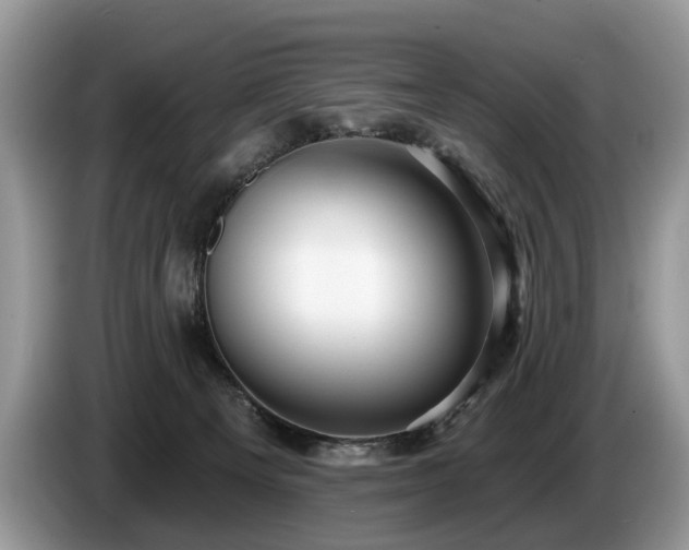 X0000087610129200704271347