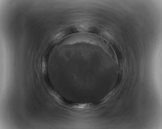 X0000087610130200704271347