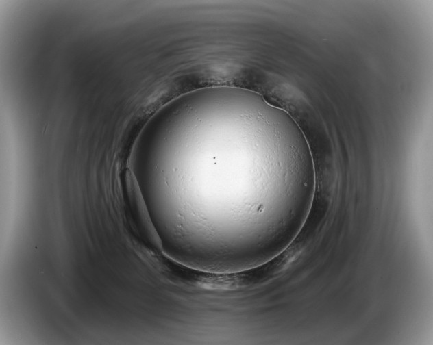 X0000087610131200704271347