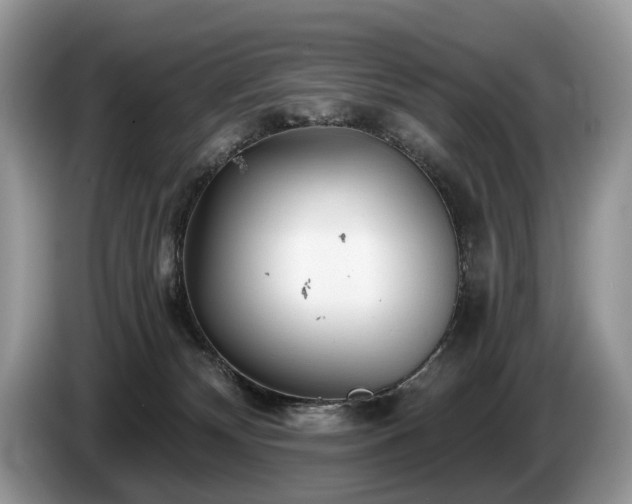 X0000087610132200704271347