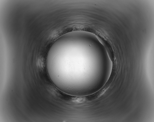 X0000087610135200704271347