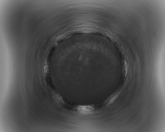 X0000087610137200704271347