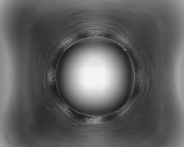 X0000087610138200704271347