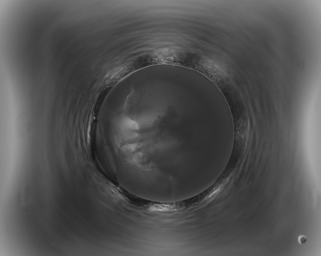 X0000087610139200704271347