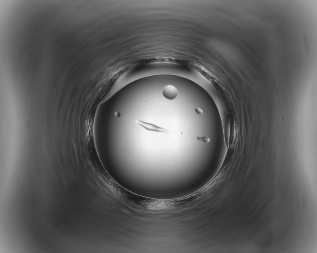 X0000087610142200704271347