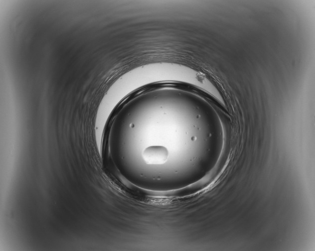 X0000087610144200704271347